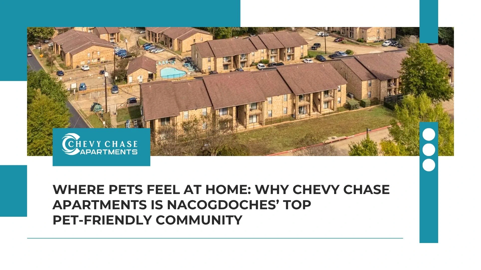 Where Pets Feel at Home: Why Chevy Chase Apartments Is Nacogdoches’ Top Pet-Friendly Community