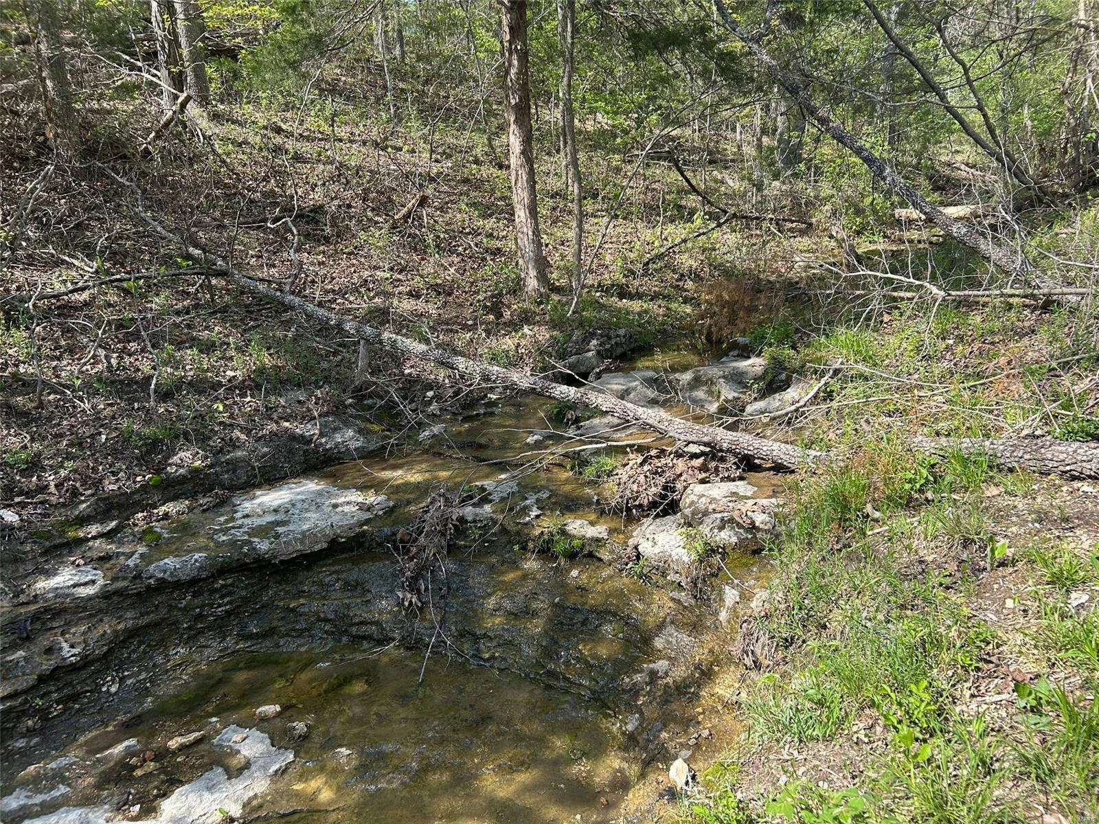property 2890 Plum Tree Rd Road