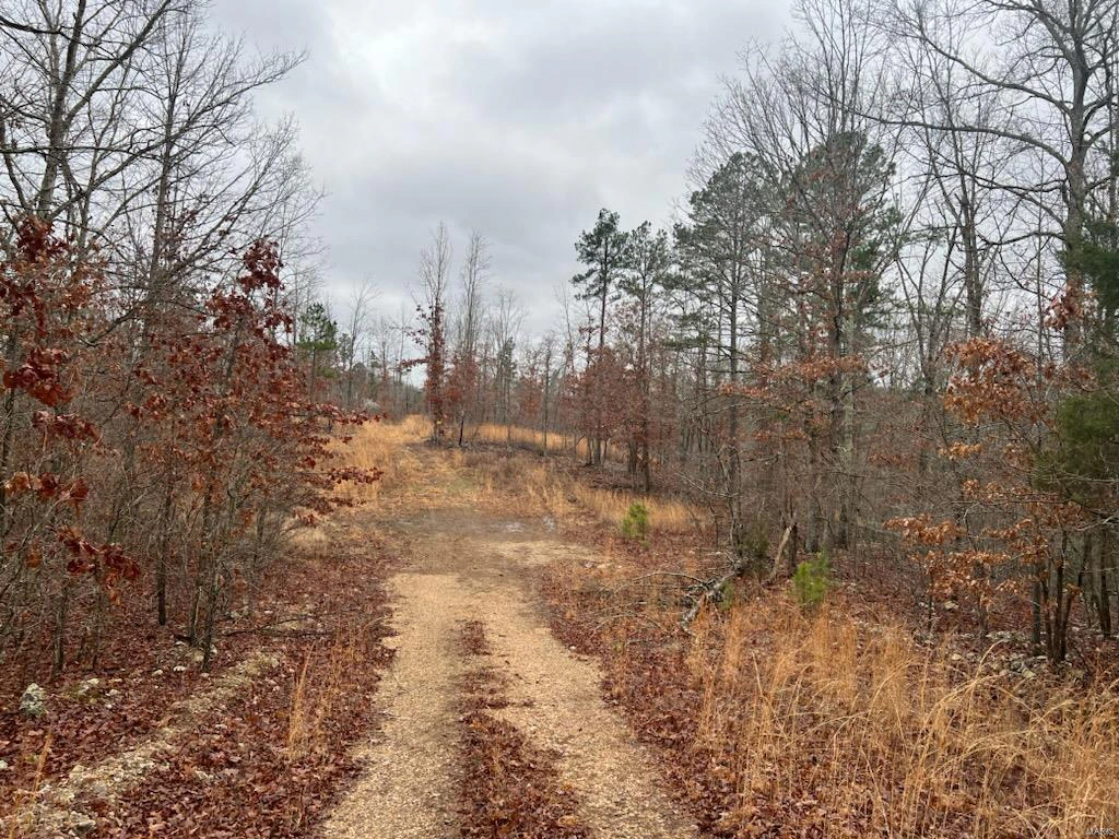 property 0 Golden Trail