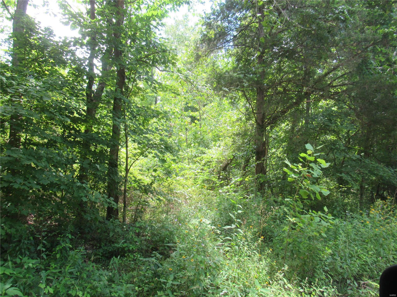 property 0 S Czar Tower (20.62 acres) Road