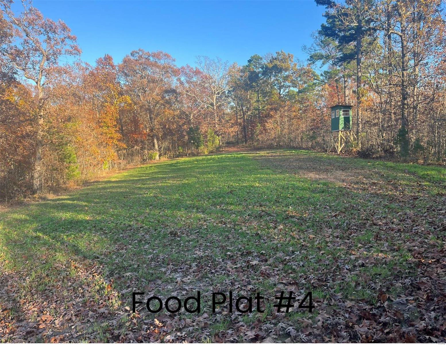 property 0 (320+/- acres) Lodge Road