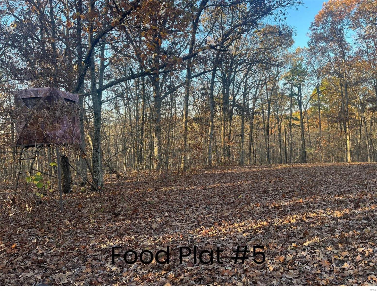 property 0 (320+/- acres) Lodge Road