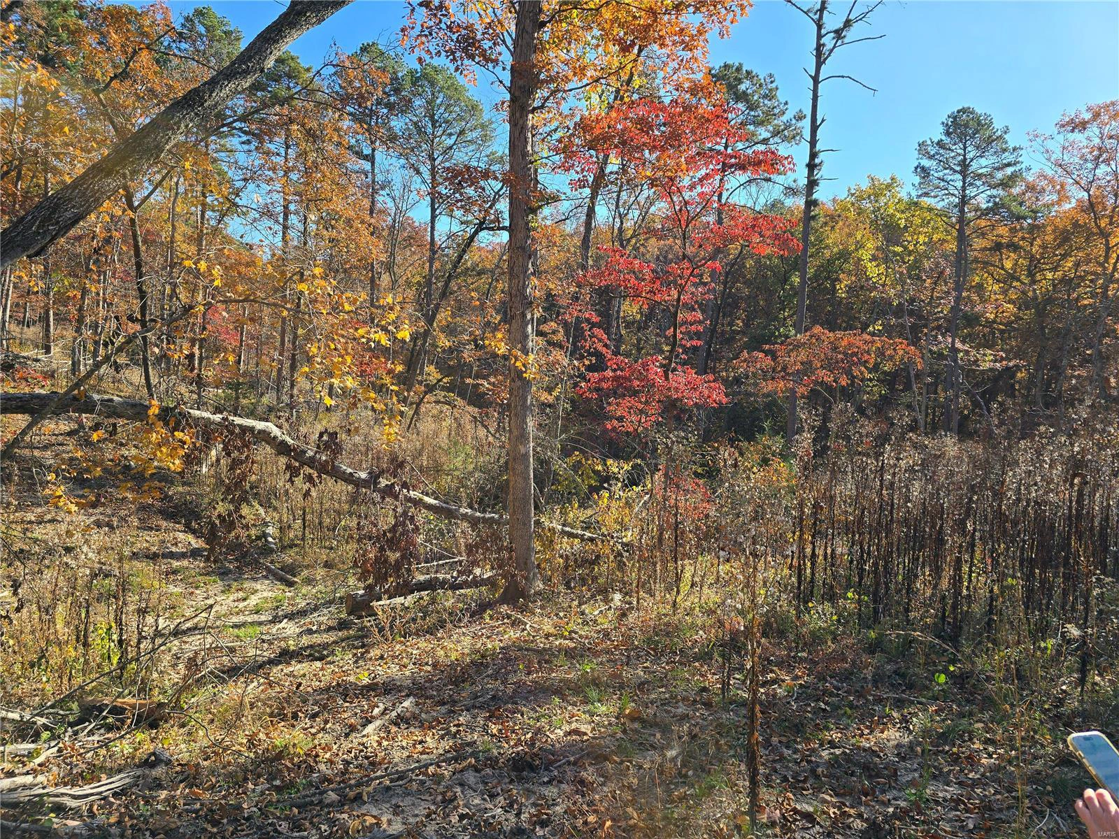 property 0 Forrest Drive