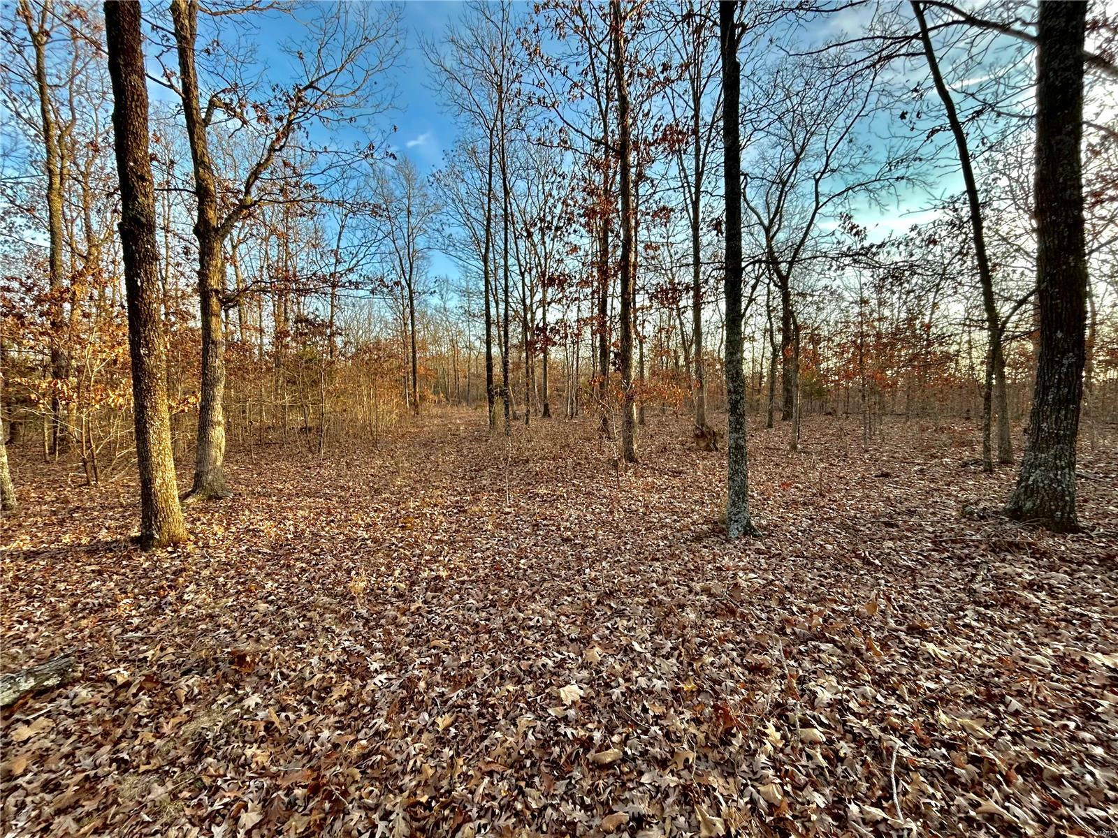 property 0 TBD Tract 1 Highway CC