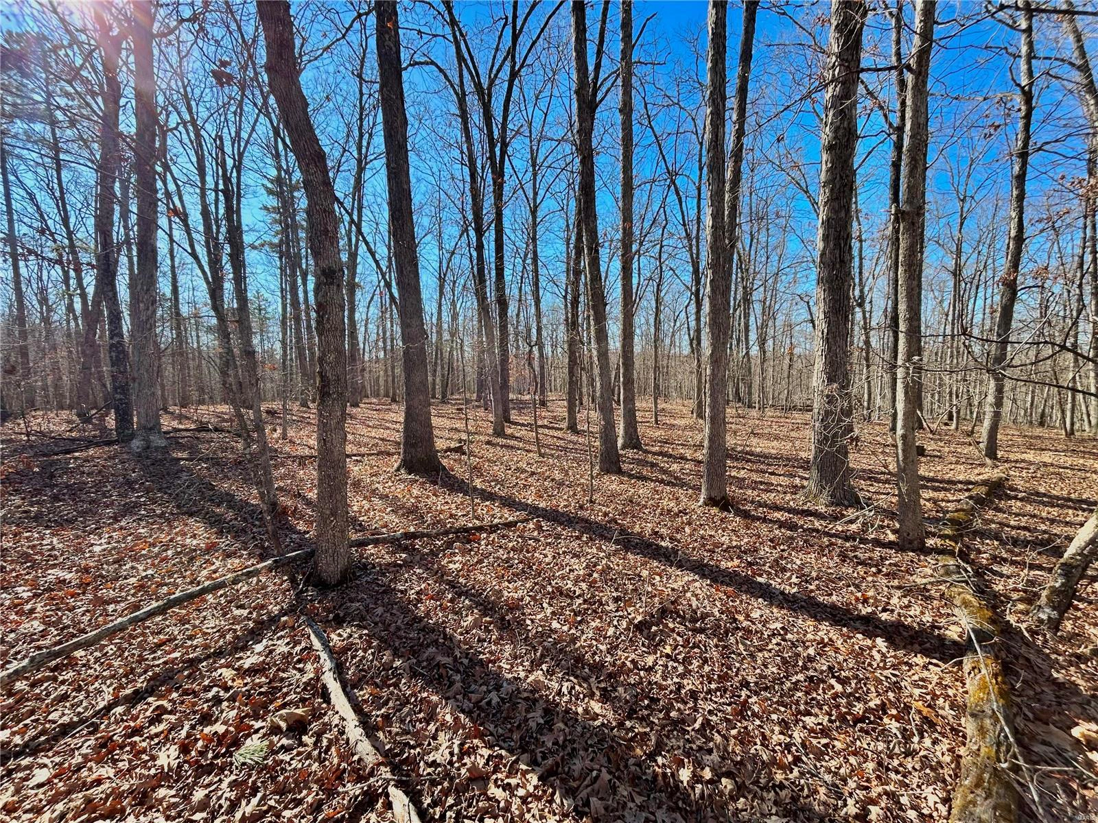 property 0 40.4 Acres County Road 5650