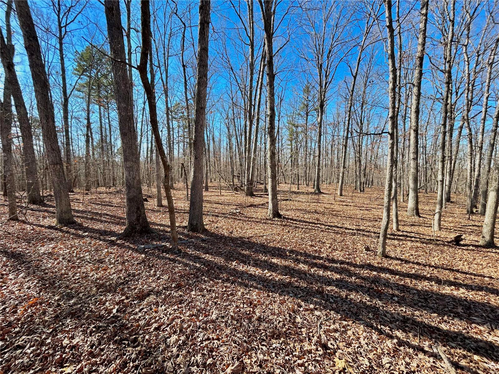 property 0 40.4 Acres County Road 5650