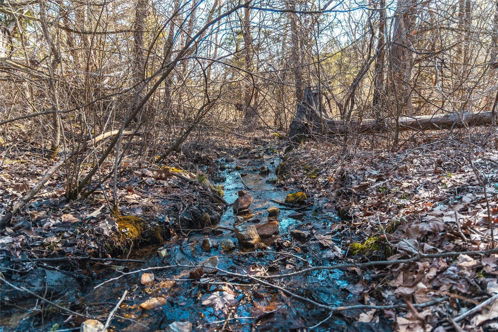 property 0 65 ACRES M/L Dalton Road