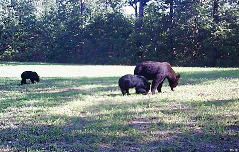 property 0 Tract 2 (160+/- acres) Lodge Road