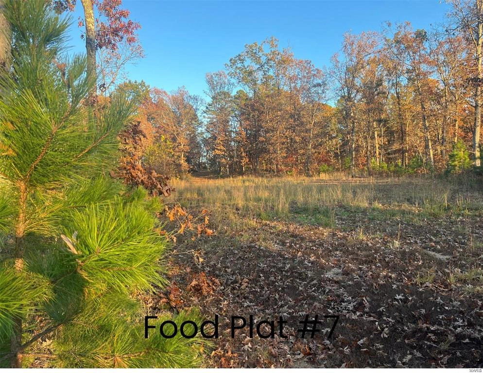 property 0 Tract 2 (160+/- acres) Lodge Road