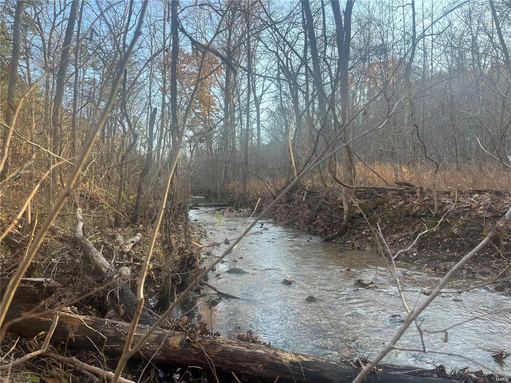 property 0 Tract 1 (160+/- acres) Lodge Road