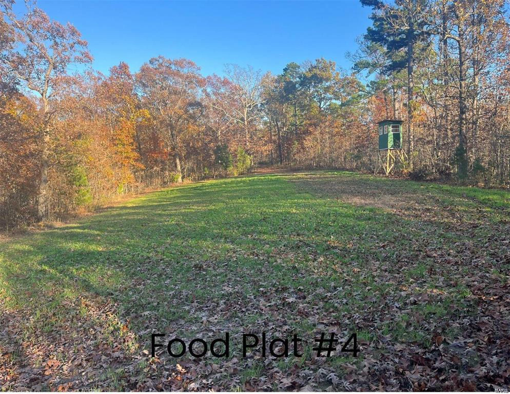 property 0 Tract 1 (160+/- acres) Lodge Road