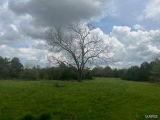 property 0 Edgemond Drive