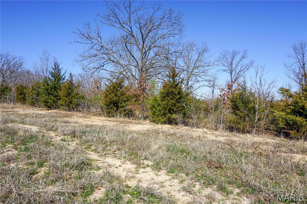 apartment for rent 0