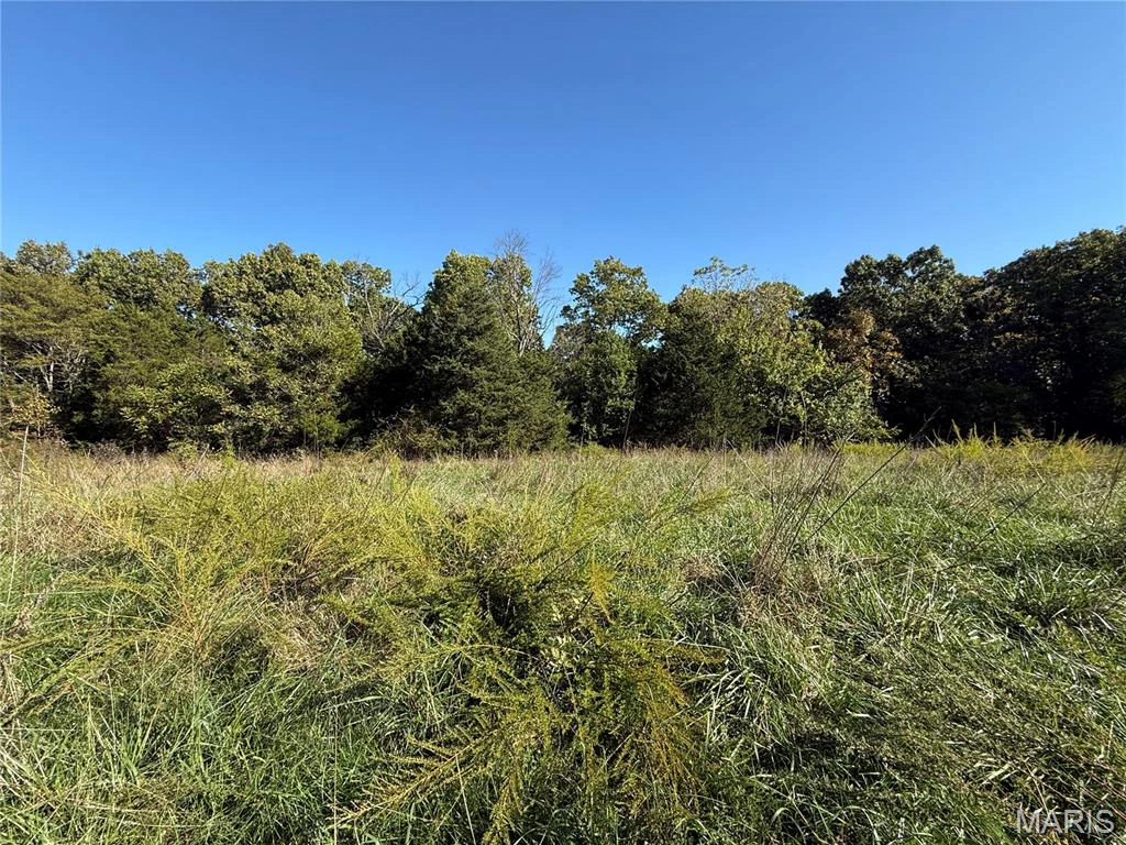 apartment for rent 1