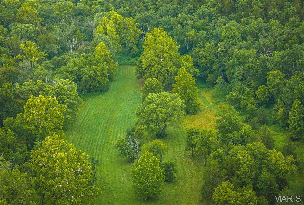 property 0 County Road 7250