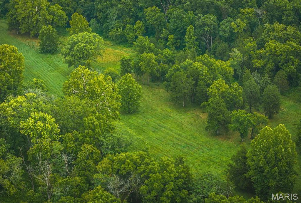 property 0 County Road 7250