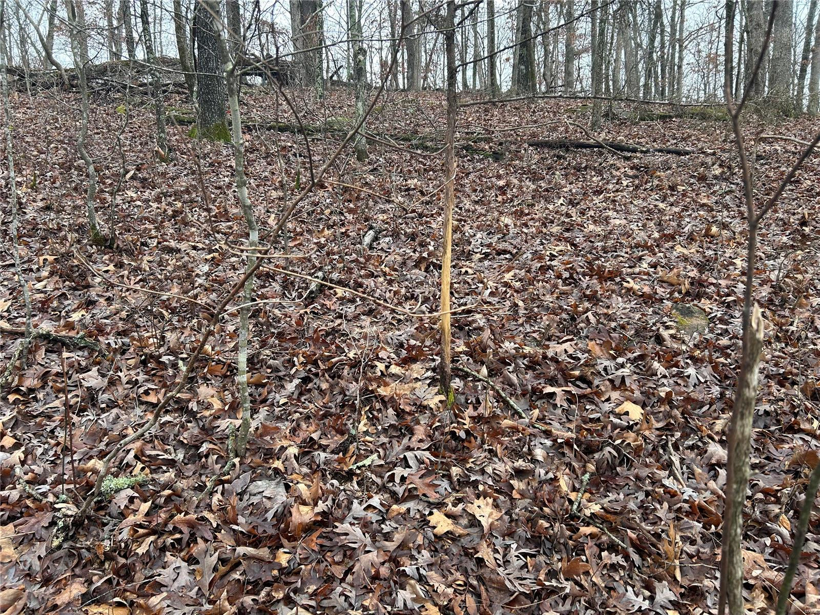 property 0 Private Drive 6388