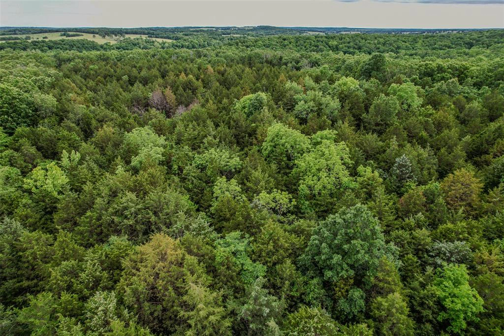 apartment for rent 1