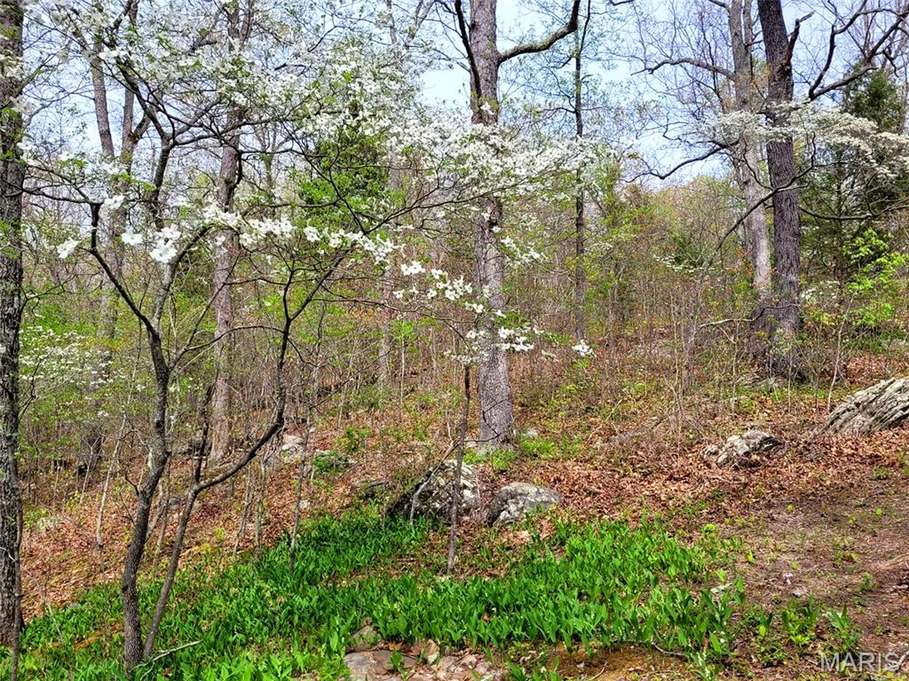 property 000 Piazza Road