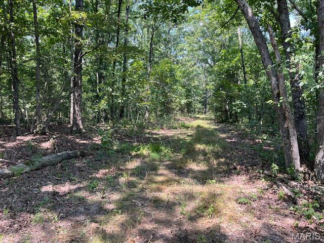 property 30 ACRES Elk Head Road