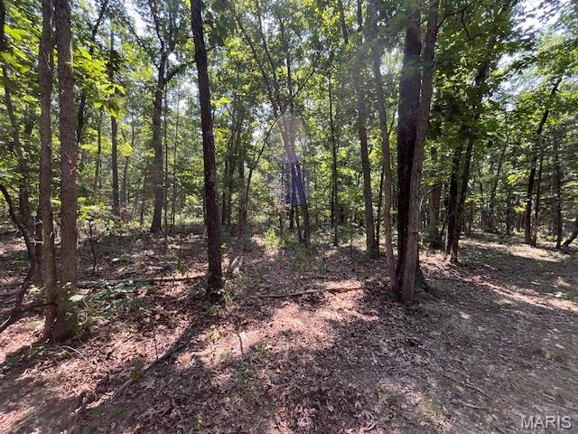 property 30 ACRES Elk Head Road
