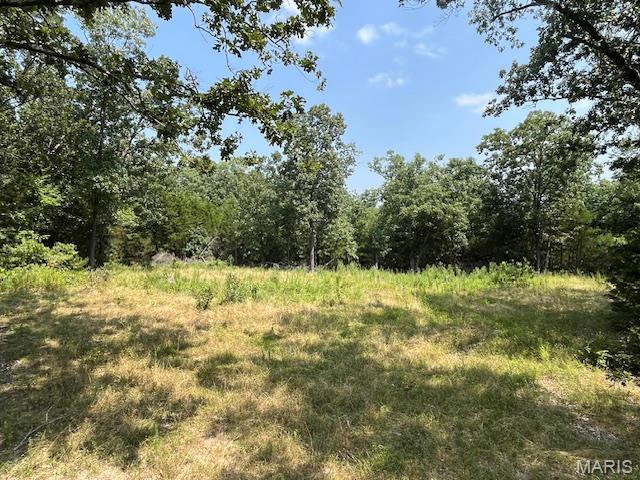 property 29 ACRES Elk Head Road