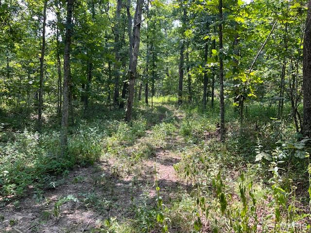 property 29 ACRES Elk Head Road