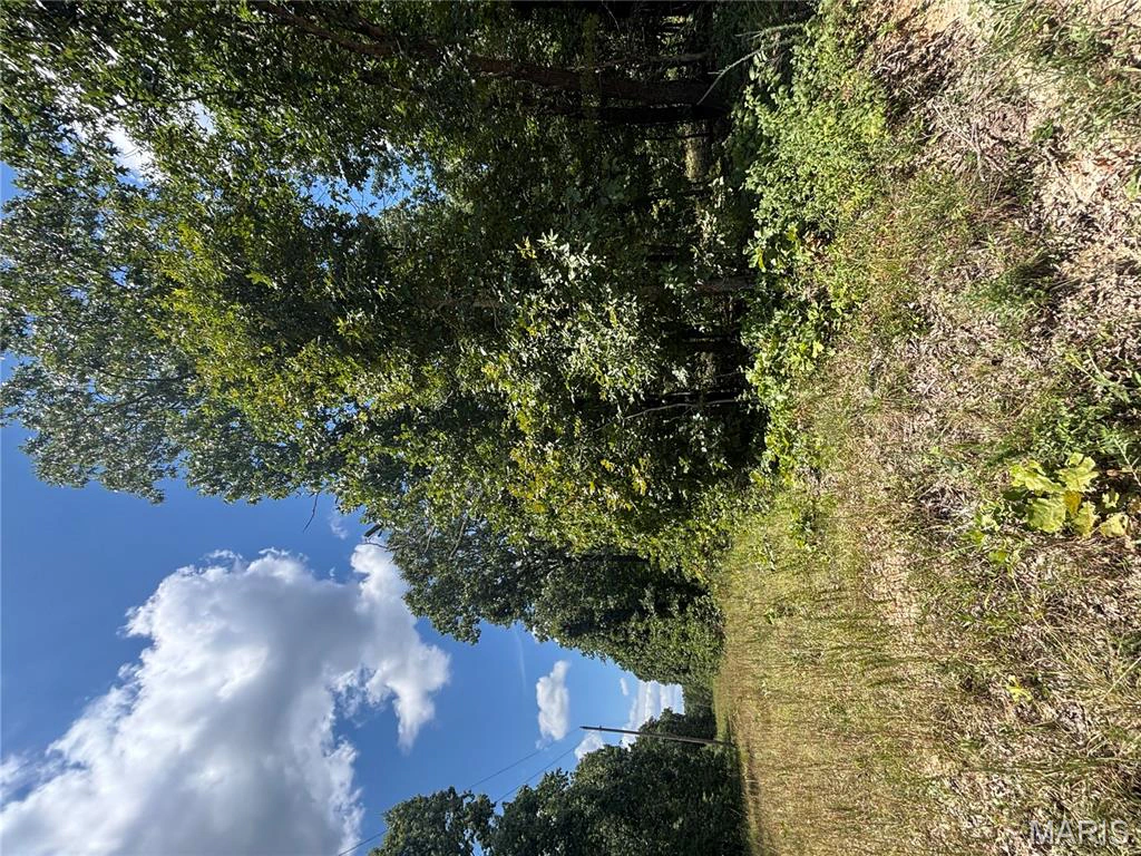 property 0 County Road 4110