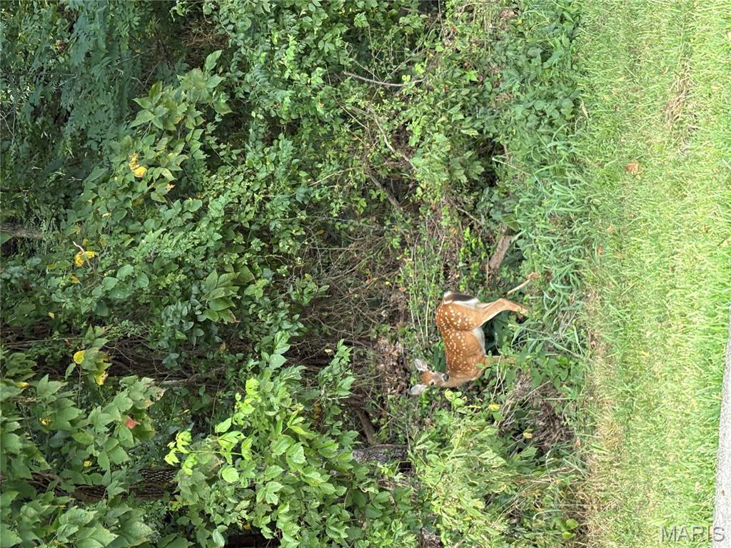 apartment for rent 1