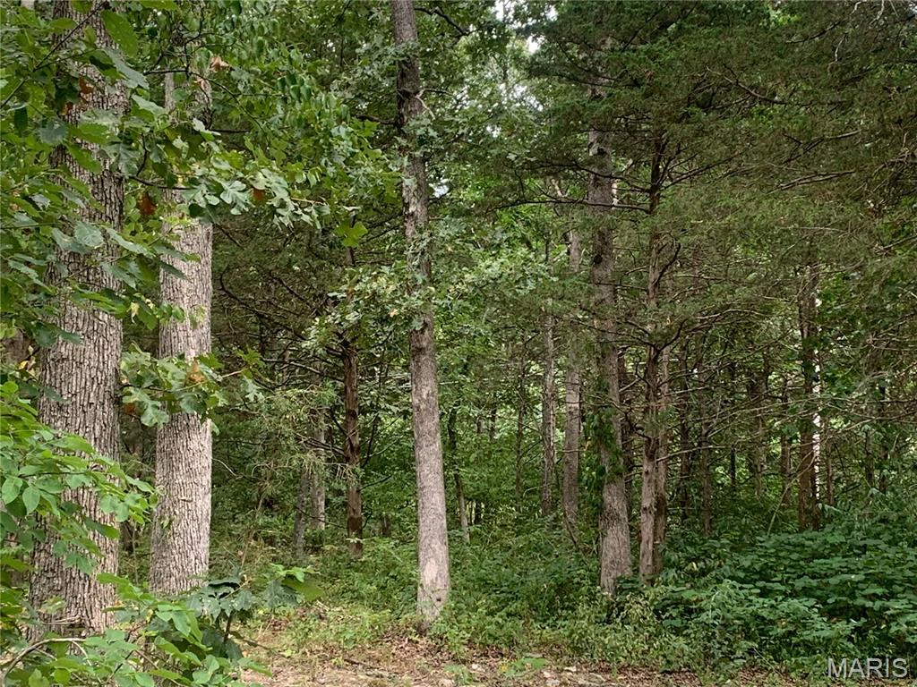 property 000 Cedar Grove Lane