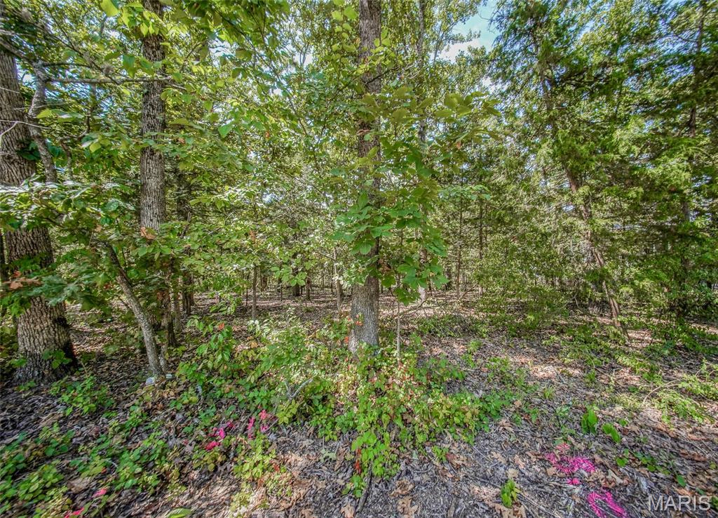 property 0 Faust Court