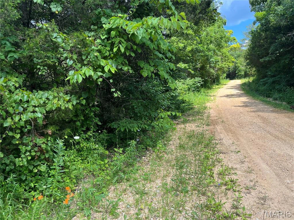 apartment for rent 1