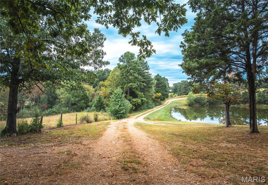 property 98 Pinecrest Lane