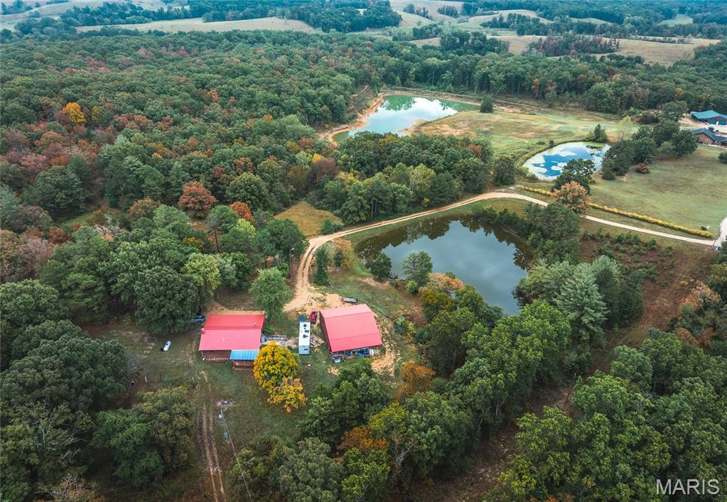 property 98 Pinecrest Lane