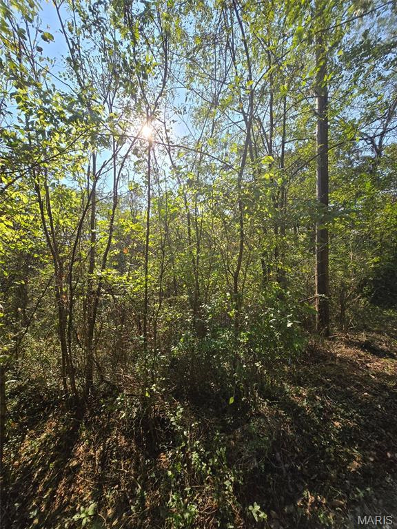 property 570 Sycamore Street