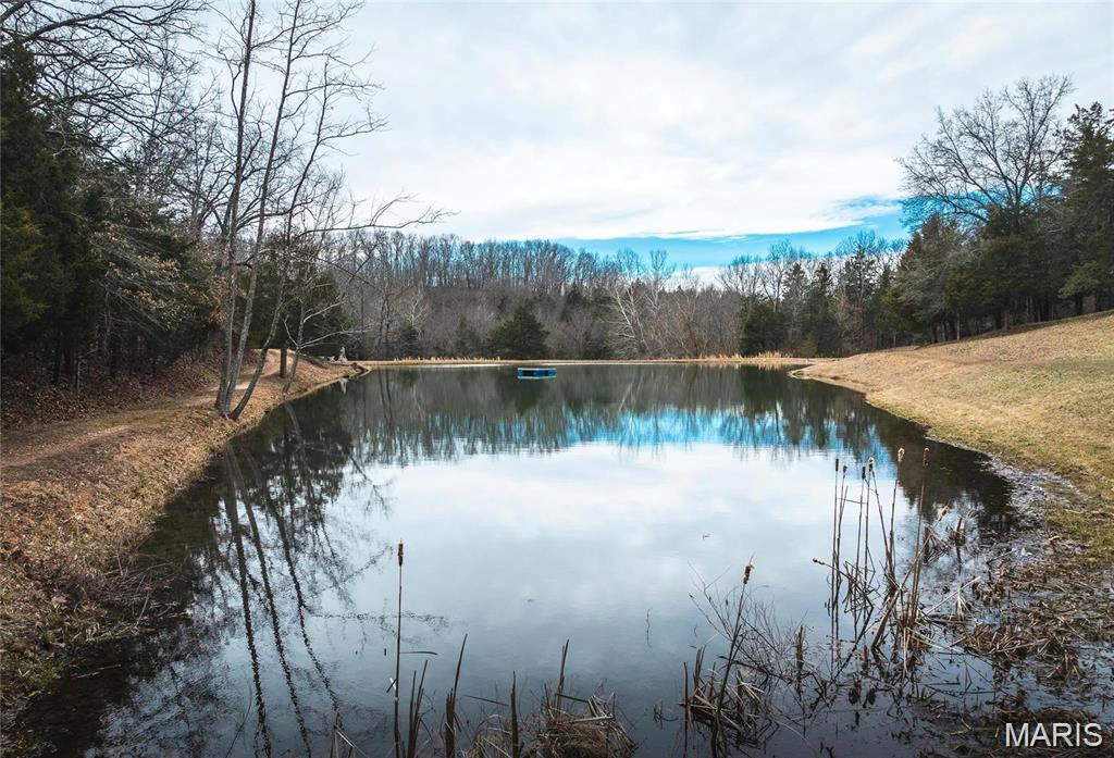 apartment for rent 1