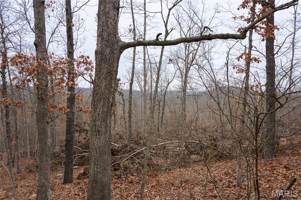 property Tract C Holiday Lane