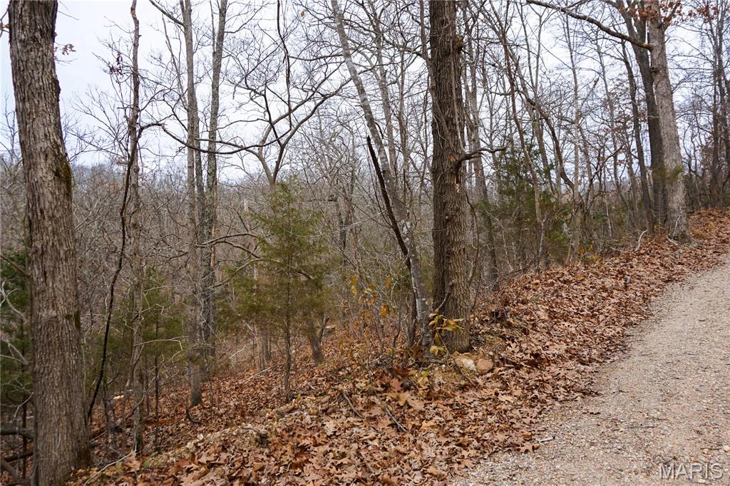 property Tract D Holiday Lane