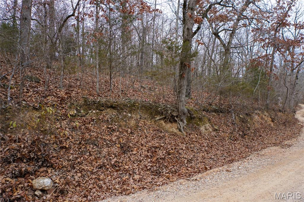 property Tract D Holiday Lane