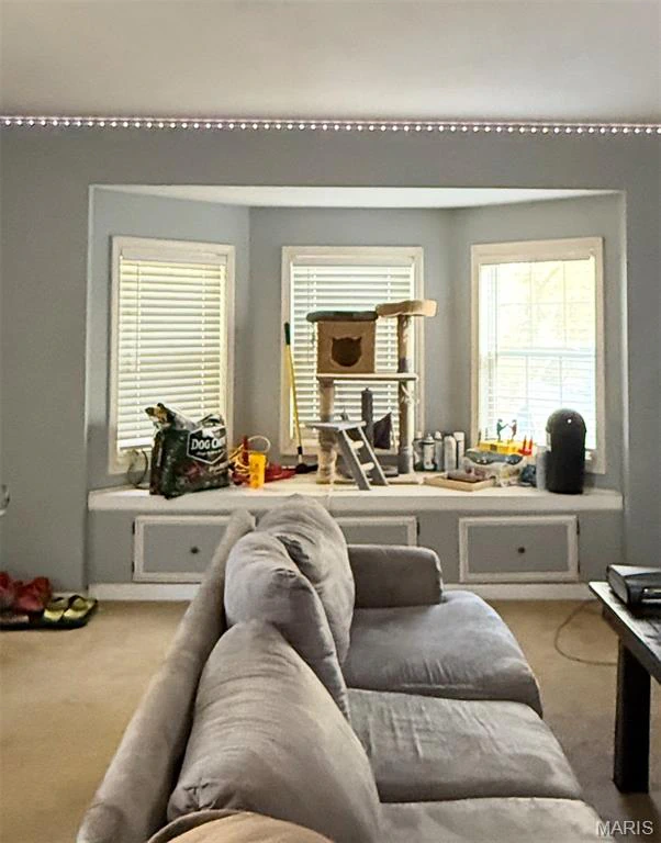 property 14125 County Road 7220