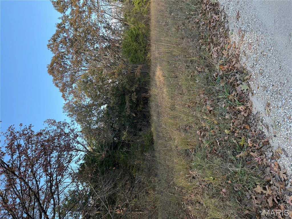 property 19353 County Road 1140