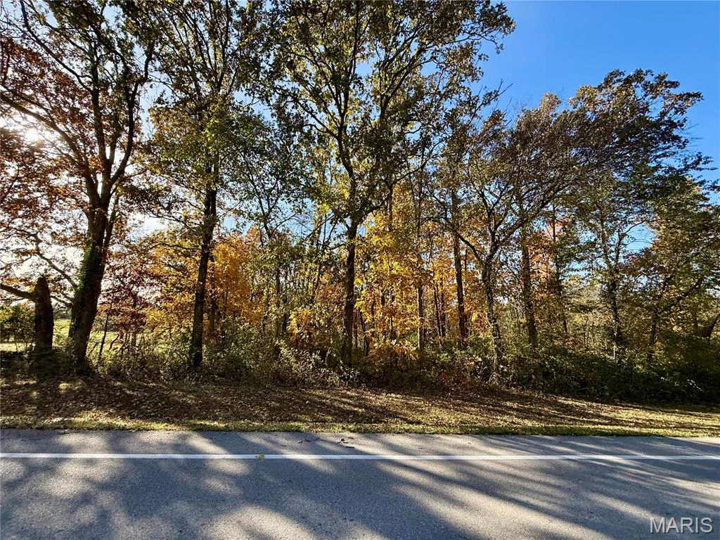 property 000 Lilly Avenue