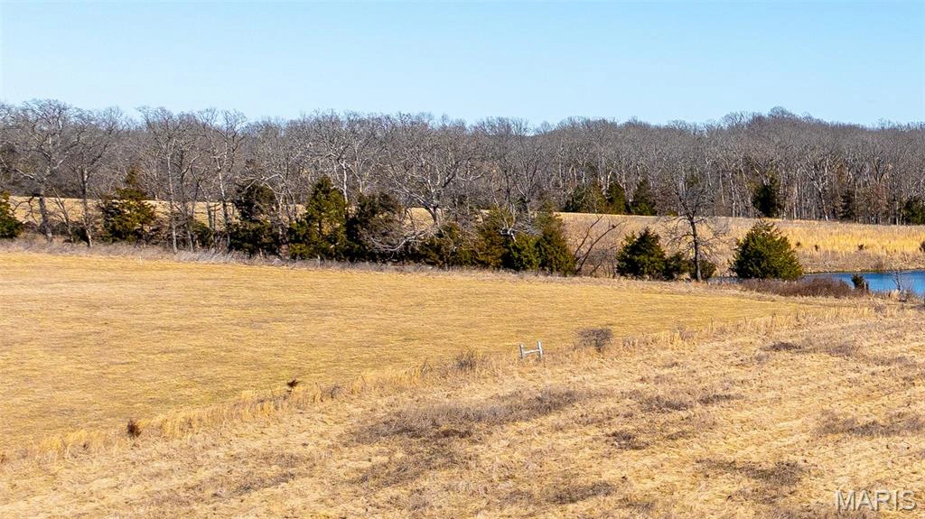 apartment for rent 1