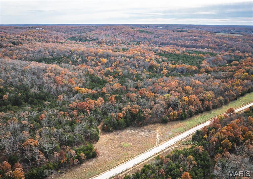 apartment for rent 1