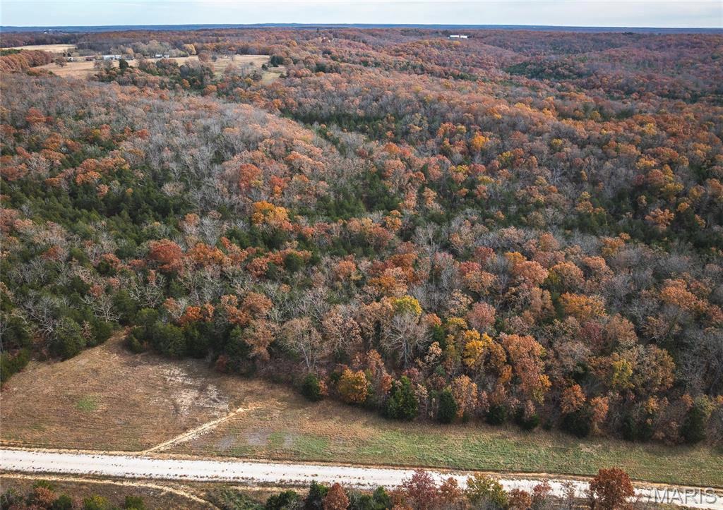 apartment for rent 1