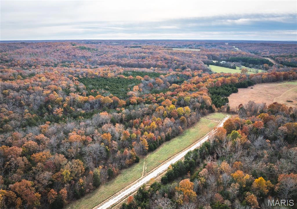 apartment for rent 1