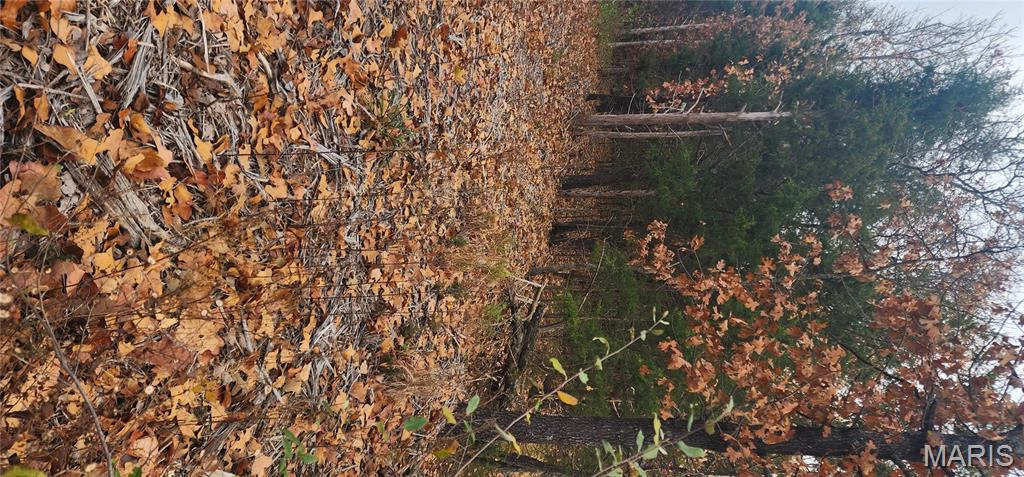 property 11050 County Road 2220