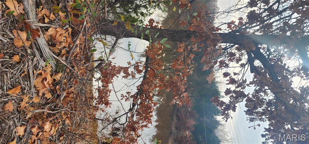 apartment for rent 1