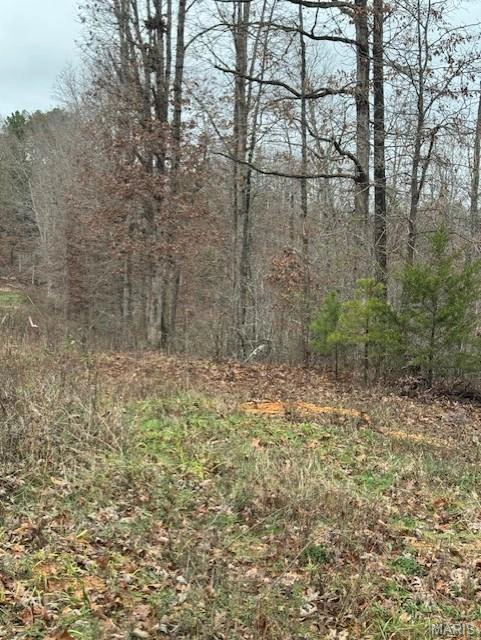 apartment for rent 1