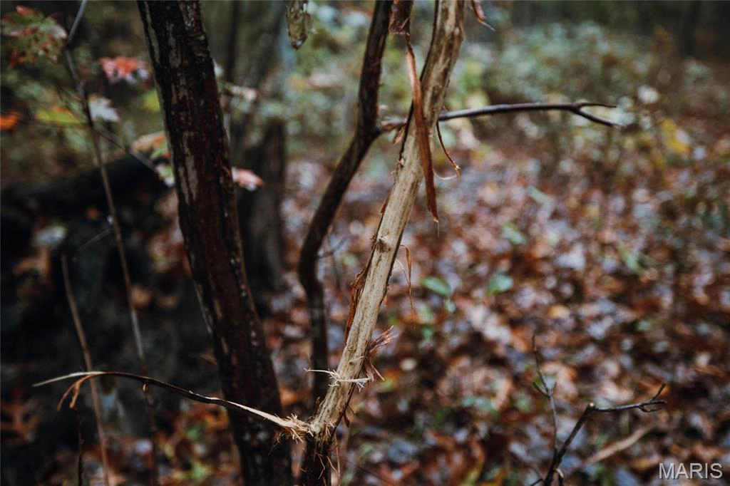 apartment for rent 1